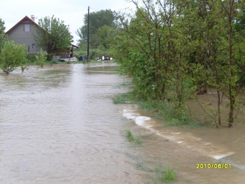 SDC10007_b.JPG