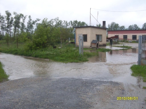 SDC10013_b.JPG