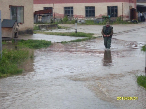 SDC10014_b.JPG