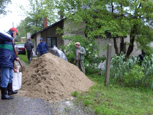SDC10691_1.JPG
