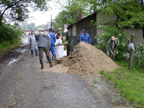 SDC10694.jpg