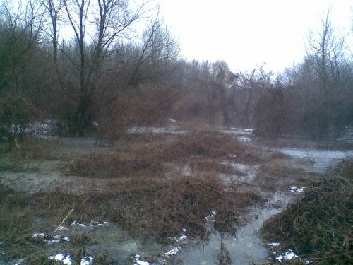 K__p034.jpg